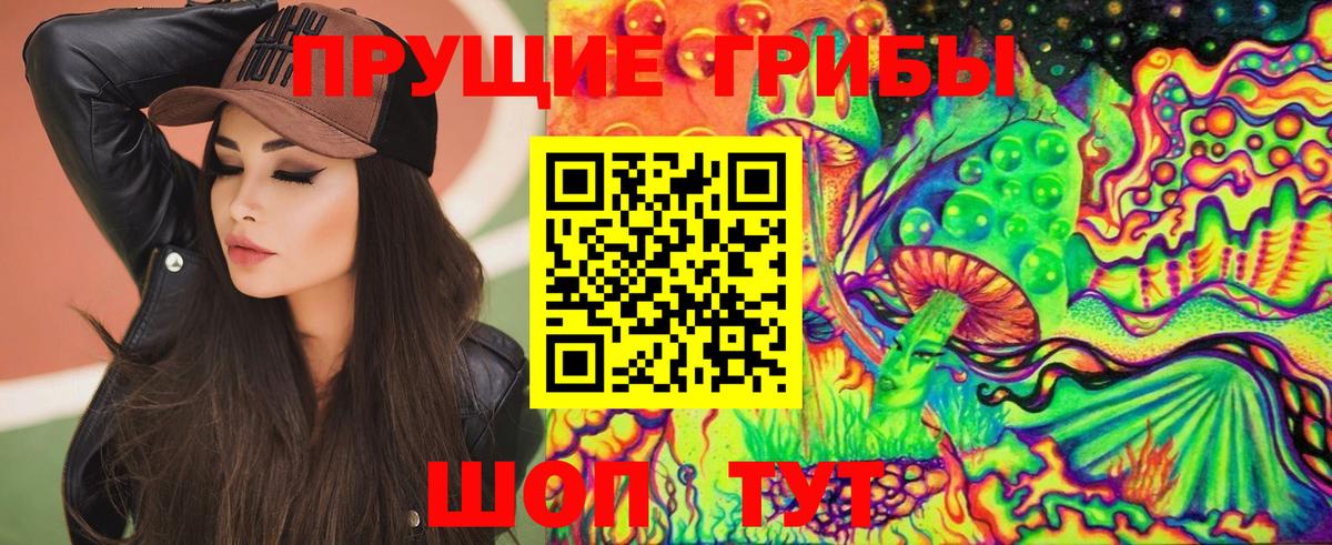 Псилоцибиновые грибы мицелий Холмск